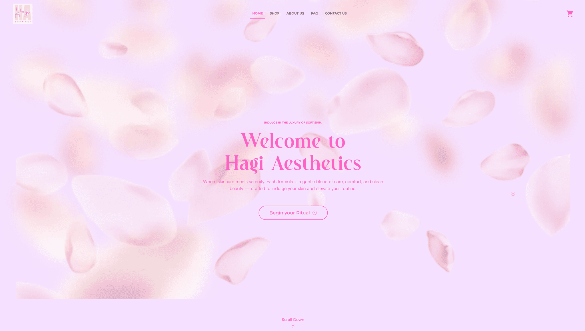 Hagi Aesthetics